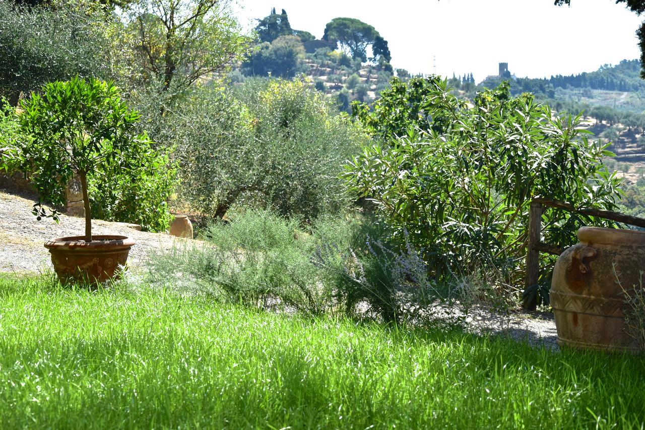 Palazzina Del Chiasso Bed & Breakfast San Martino in Freddana ภายนอก รูปภาพ