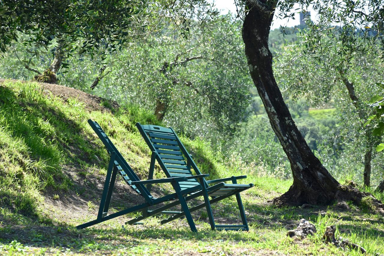 Palazzina Del Chiasso Bed & Breakfast San Martino in Freddana ภายนอก รูปภาพ