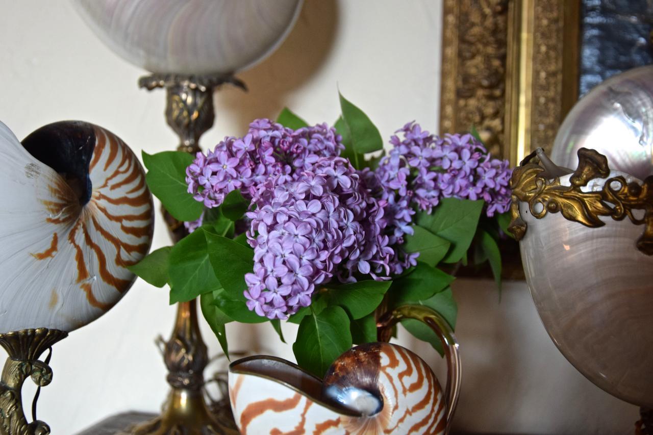 Palazzina Del Chiasso Bed & Breakfast San Martino in Freddana ภายนอก รูปภาพ