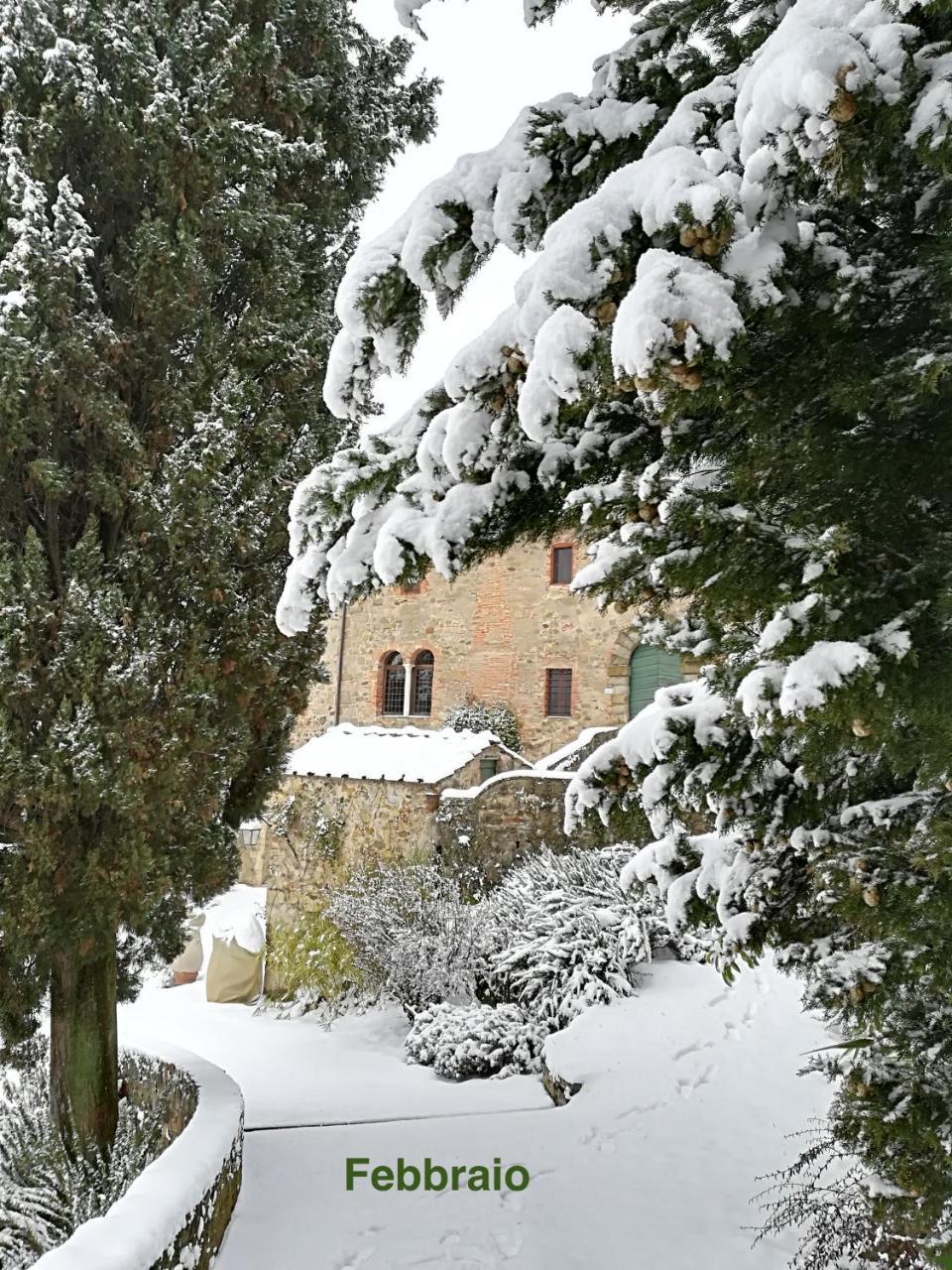 Palazzina Del Chiasso Bed & Breakfast San Martino in Freddana ภายนอก รูปภาพ